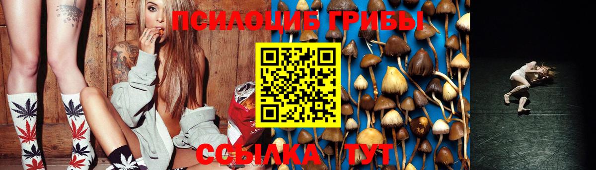 Галлюциногенные грибы Cubensis  Галлюциногенные грибы MAGIC MUSHROOMS  купить   Сафоново  Вход с VPN 